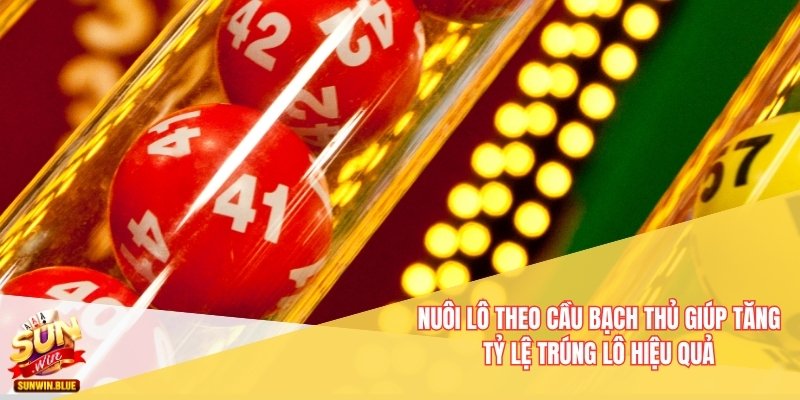 Bí Quyết Nuôi Lô Theo Cầu Bạch Thủ Dành Cho Người Mới 2 Nuôi lô theo cầu bạch thủ giúp tăng tỷ lệ trúng lô hiệu quả