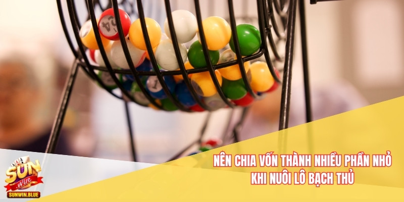 Bí Quyết Nuôi Lô Theo Cầu Bạch Thủ Dành Cho Người Mới 3 Nên chia vốn thành nhiều phần nhỏ khi nuôi lô bạch thủ