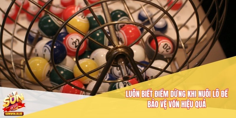 Bí Quyết Nuôi Lô Theo Cầu Bạch Thủ Dành Cho Người Mới 4 Luôn biết điểm dừng khi nuôi lô để bảo vệ vốn hiệu quả